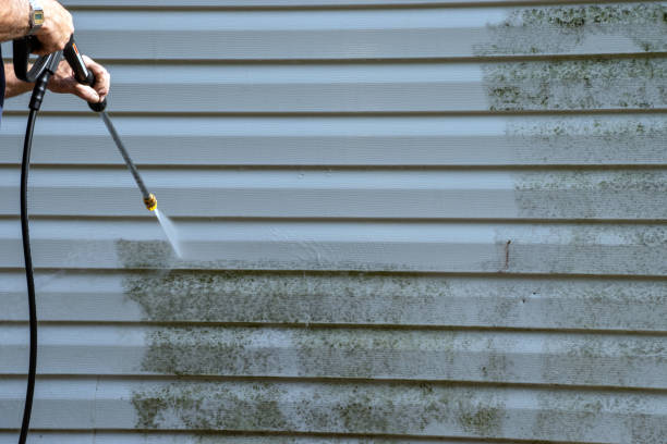 Shed Removal in Madrid, IA